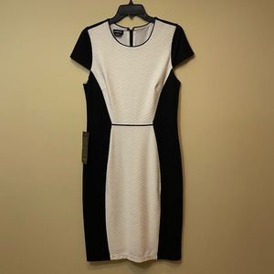 Black and Off White Dress